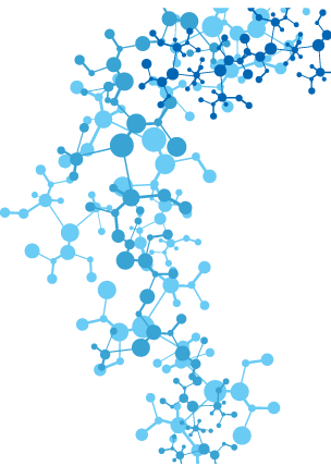 Eukaryotic Chromosome Structure Ppt Free Transparent